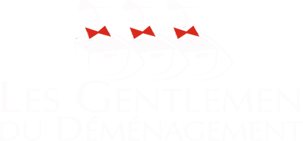 demenageur nice, garde meuble nice, déménagement nice, demenagement paris nice, entreprise demenagement nice, nice demenagement carros, demenagement cannes, demenagement antibes, demenagement vence