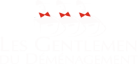 demenageur nice, garde meuble nice, déménagement nice, demenagement paris nice, entreprise demenagement nice, nice demenagement carros, demenagement cannes, demenagement antibes, demenagement vence